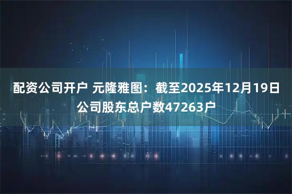 配资公司开户 元隆雅图：截至2025年12月19日公司股东总户数47263户